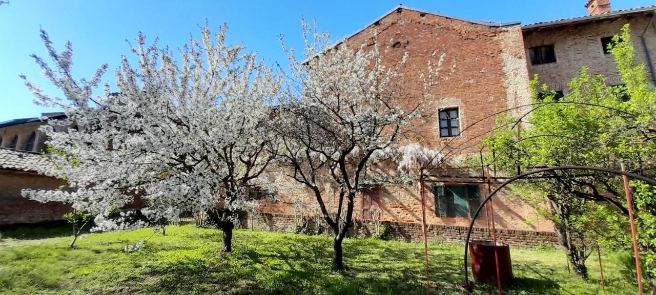 Agriturismo Olivazzi Quattordio Εξωτερικό φωτογραφία